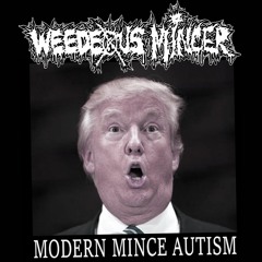 Weedeous Mincer - Modern Mincecore Autism