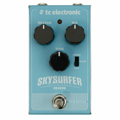 Skysurfer Reverb Tone Example 01