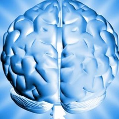 Senam Coex- Musik Relaksasi yang sangat bagus untuk membantu anda merilekskan tubuh dan fikiran anda