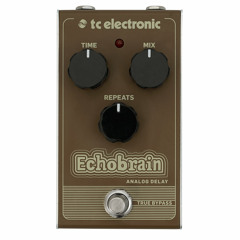 Echobrain Analog Delay Tone Example 01