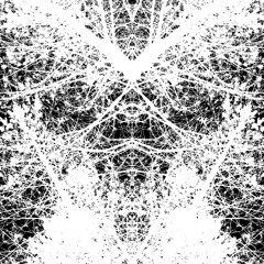 Audiological Transmission #42​/​​​​52​​: Hawthorn Heart – Magpahi - The Forest / The Wald
