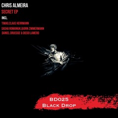 Secret(Original Mix) preview