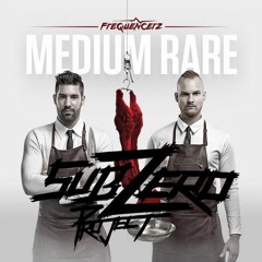 Frequencerz – Rockstar (Sub Zero Project Remix)