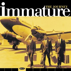 Immature Extra Extra Instrumental Remake