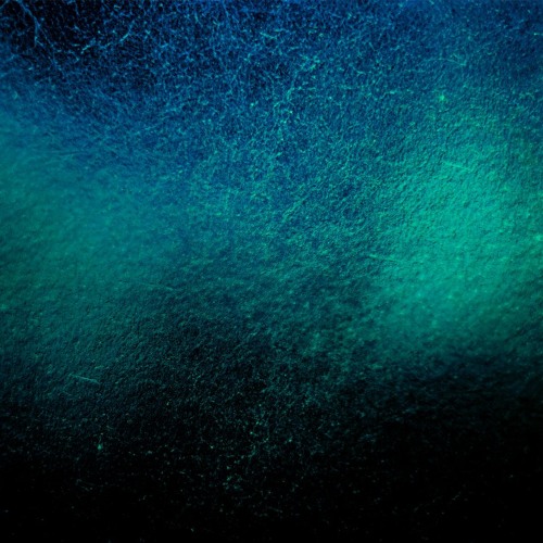 Apathy Spreads (excerpt)– David Vélez [éter27]