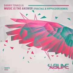 Danny Tenaglia - Music Is The Answer (Lu.cian & Hippocoon Remix)