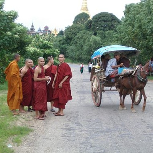 Tam Su Ve Rung Thien Pa - Auk