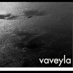 Üvey- Samsun 216