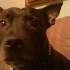 Let The Tide Wash You Away