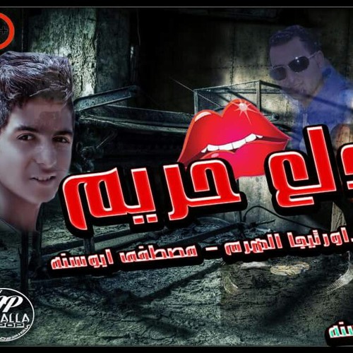 مهرجان دلع حريم 18+