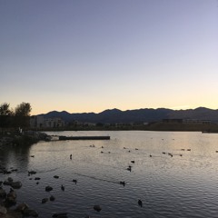 I Can't Make You Love Me - Bonnie Raitt (Live Cover)