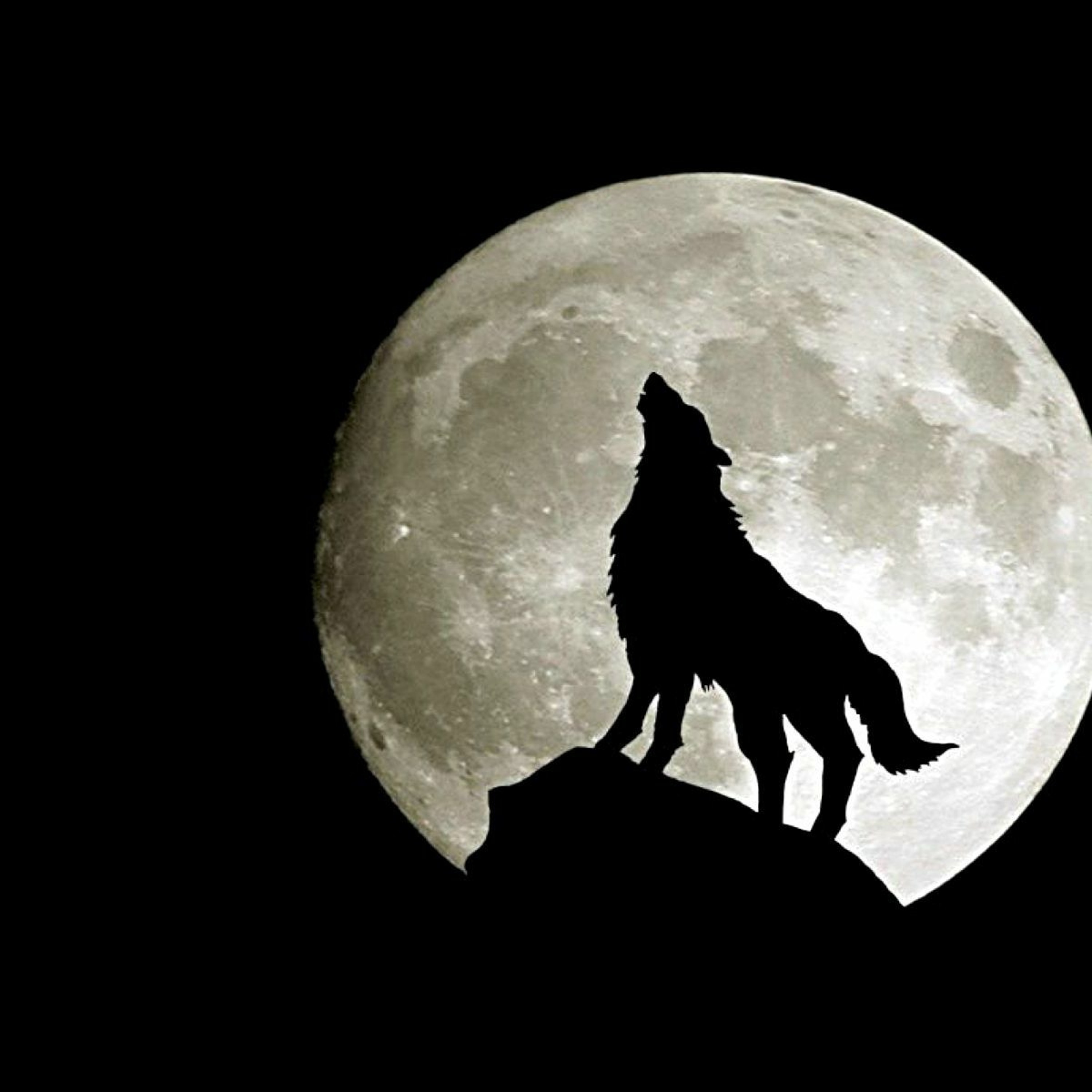 Howlin' At The Moon episode artwork