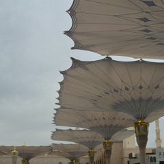 Sh Okasha Kameny Surat Yusuf 82-87 سورة يوسف ٨٢-٨٧