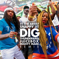 DIG Thunderbird Juicebox and Mighty Mark Remix