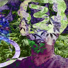 Next Joint