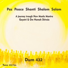 Dolphin Om Namah Shivaia