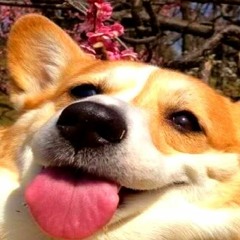 music to write angst to