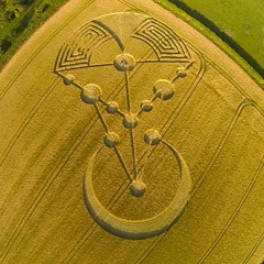 Crop Circles