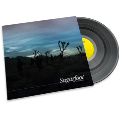 Political Disaster (In The End)