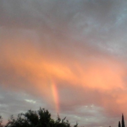 Derrick Boo / Chance