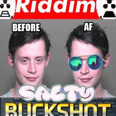 Salty Buckshot Riddim Mix