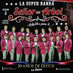 La Super Banda Señor Del Arbol-Por Que Te Vas (vol 6) "Arbolitos Orquesta"