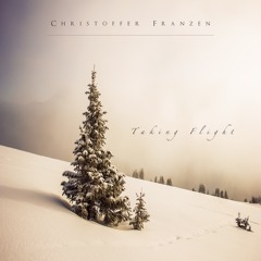 Christoffer Franzen - Taking Flight