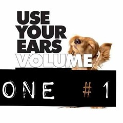 DOU_Use You Ears 1