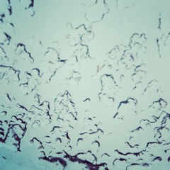 Narcotics - L!fty+Daisy