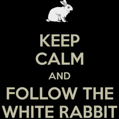 white rabbit