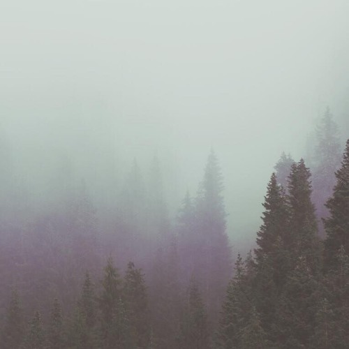 Insight (Cover Joy Division)