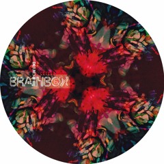 Ø - Fermionit