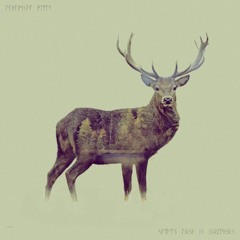 Autumnal Fire - Dead Wood (Lok Haust) Test