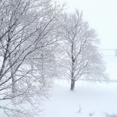 The Bleak Midwinter