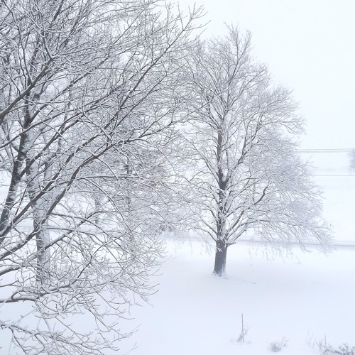 The Bleak Midwinter