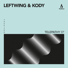 Leftwing & Kody - Labyrinth - Truesoul