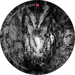 Skober - Introvert