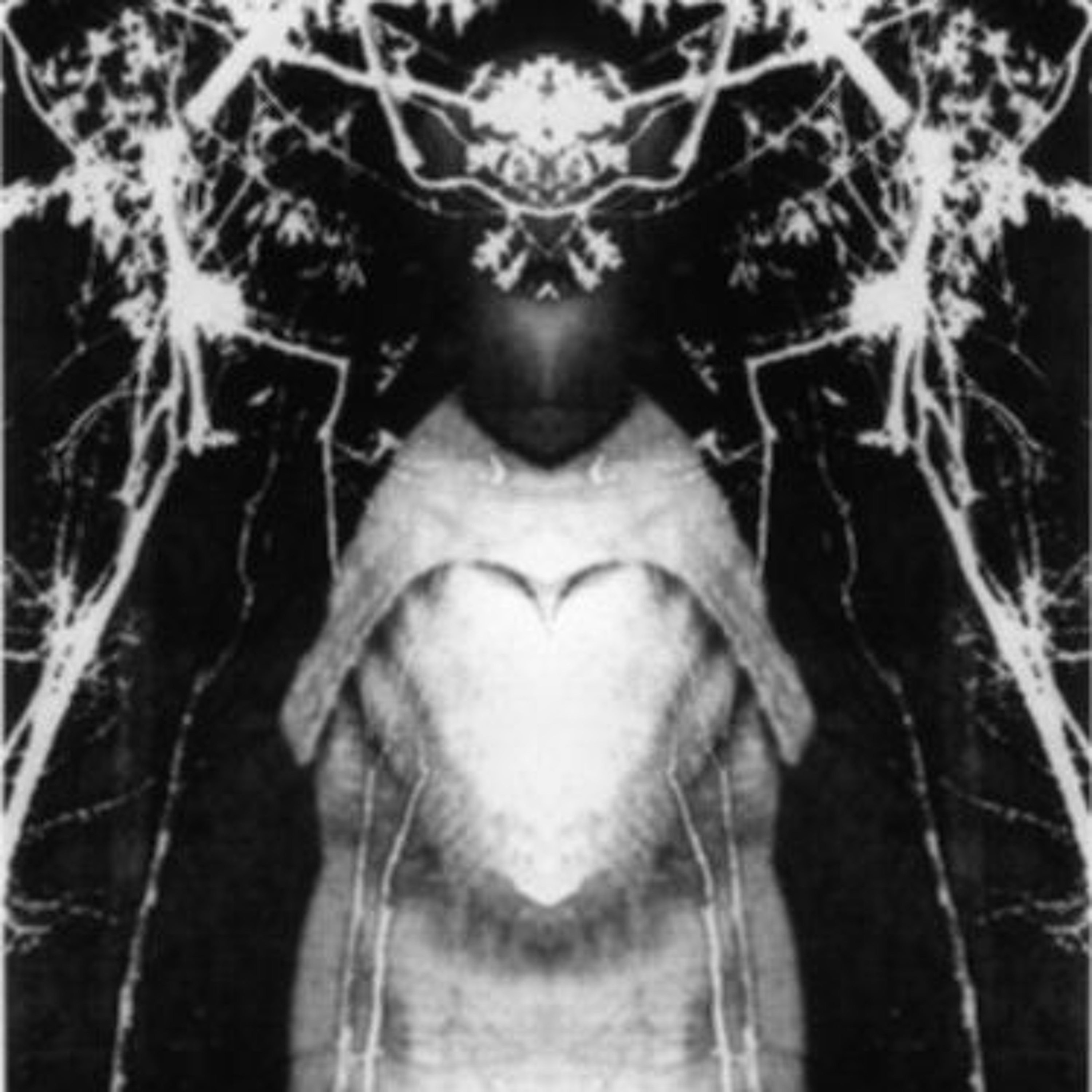 Dysphoria episode artwork