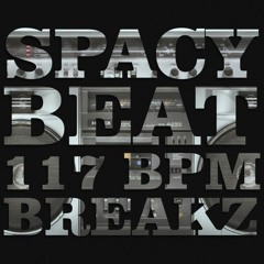 SPACY BEAT & Dj Leg1oner - 117 Bpm breakz 4 (WHO WIN)