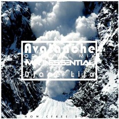 Mr Inessential & DJane LiJa - Avalanche (Original Mix)
