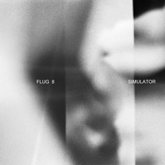 PREMIERE: Flug 8 - Simulator [Kerosene]