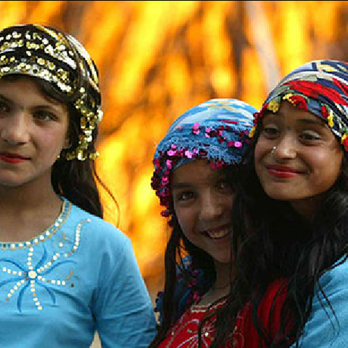 RCv3 PMOrchestra_sections