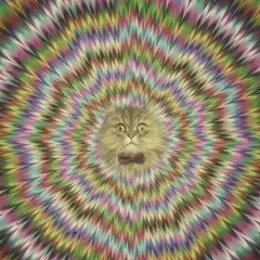 hai