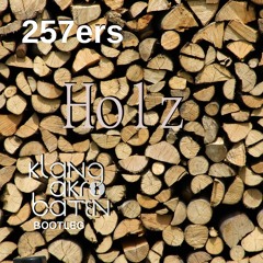 257ers VS. Tune Brothers- Holz What (KlangAkrobaten Bootleg)