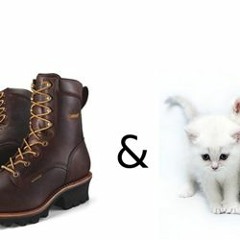 cats and boots