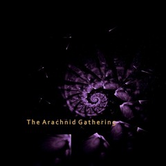 Tensor- An Arachnid Gathering