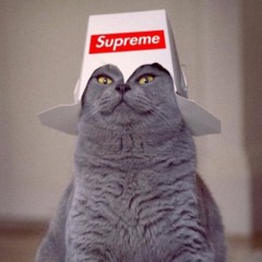 LE KATS ~| MIX |~ Set For Da Cat