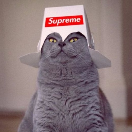 LE KATS ~| MIX |~ Set For Da Cat