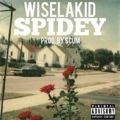 Wisemega -Spidey (prod by Scum)