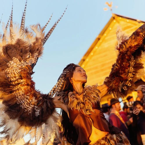 Transformational Festival DJ Sets pt.1